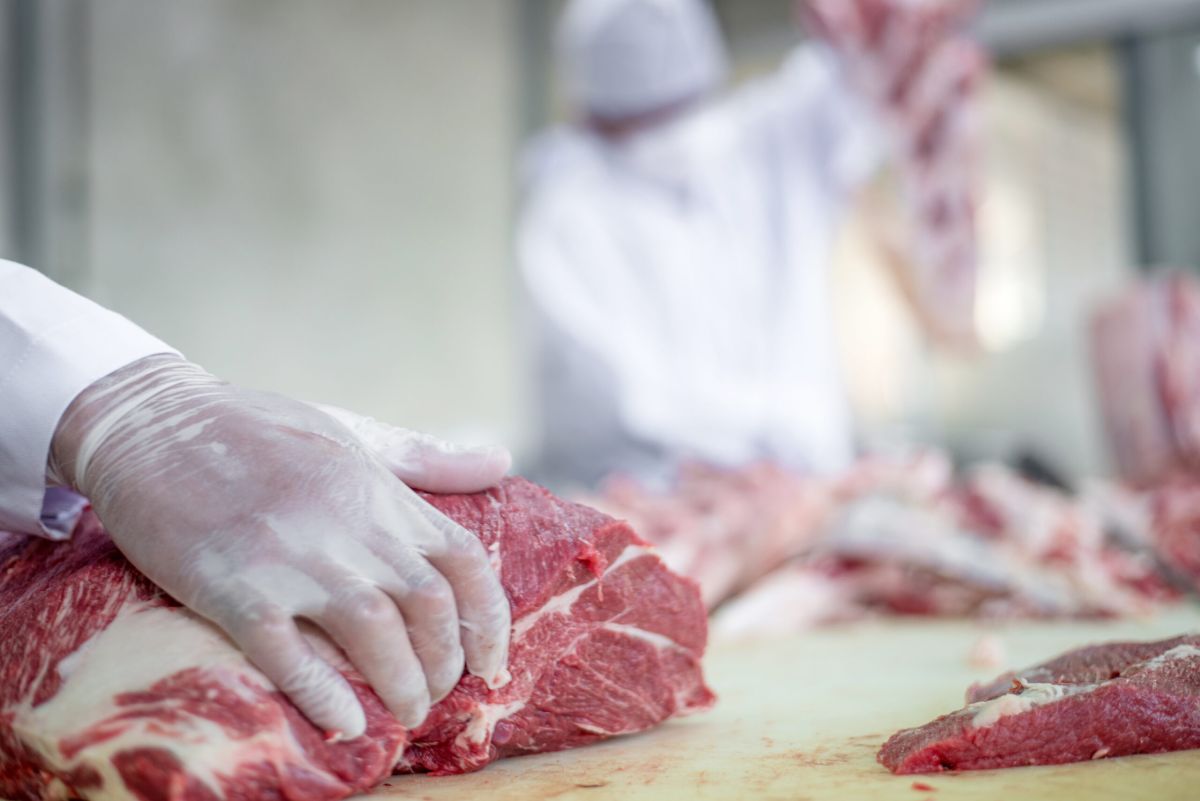 Lavorazione e trasformazione di carne Macelleria e salumeria da Luca B.R. CARNI SAS a Cepagatti PE (Pescara)